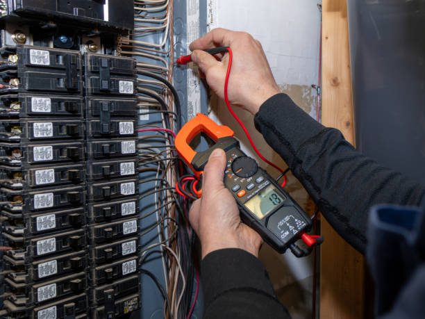 Best Electric Panel Repair  in Seis Lagos, TX